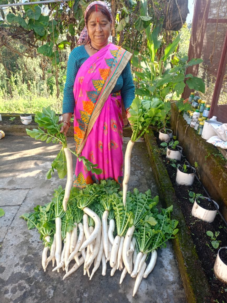 ग्रामोत्थान परियोजना से मिली नई दिशा, सूक्ष्म सिंचाई तकनीक से आत्मनिर्भर बनी बिछना देवी ने रची सफलता की कहानी